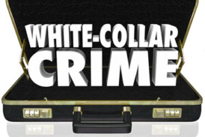 WhiteCollar WhiteCollar